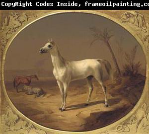 Theodor Horschelt A Grey Arabian Horse